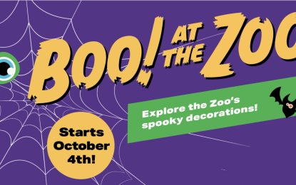 A Halloween Tradition Continues As Boo at the Zoo Returns To Brookfield Zoo Chicago