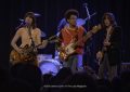 Power Pop Perfection: The Lemon Twigs Turn Back Time With Their Modern Retro Sound