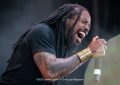 Photo Gallery: Sevendust live at Summer of 99 and Beyond Festival @ Credit Union 1 Amphitheatre