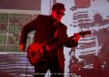 Photo Gallery: Elvis Costello at Riot Fest 2026