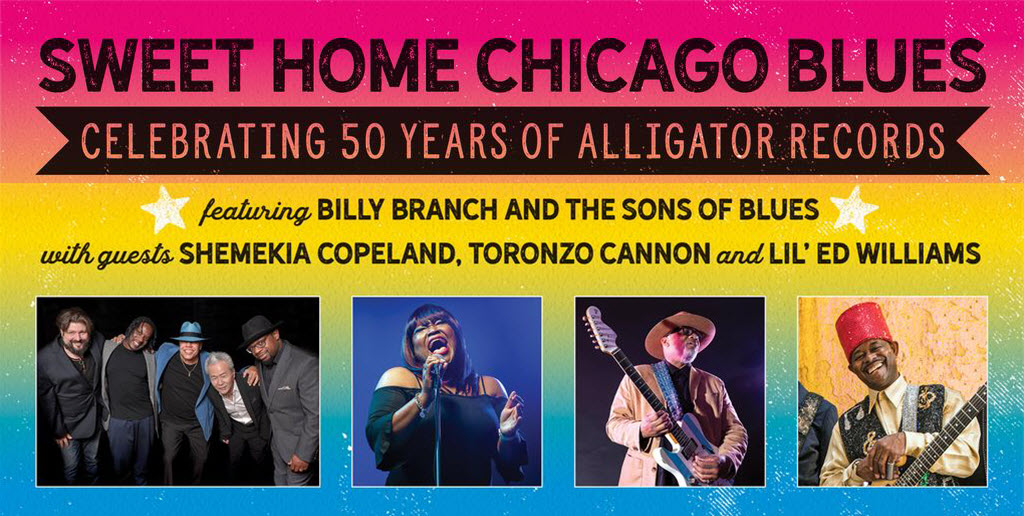 Chicago’s WTTW-TV To Re-Air Alligator Records 50th Anniversary Concert Film As Part of Black History Month