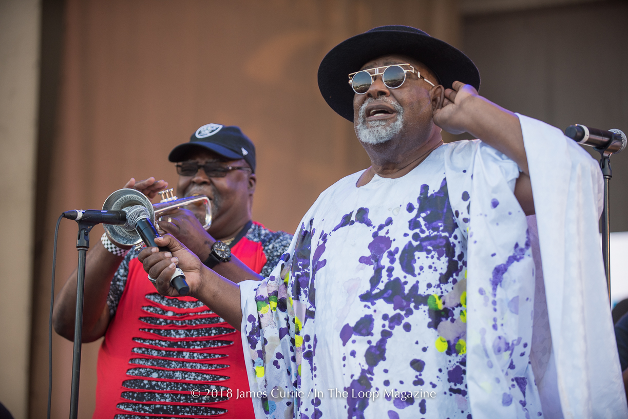 George Clinton live in Chicago at Taste of Chicago 2018 July 15 2018-35